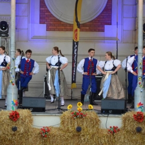 Zdjęcie przedstawia występ artystyczny zespołu Mały Śląsk